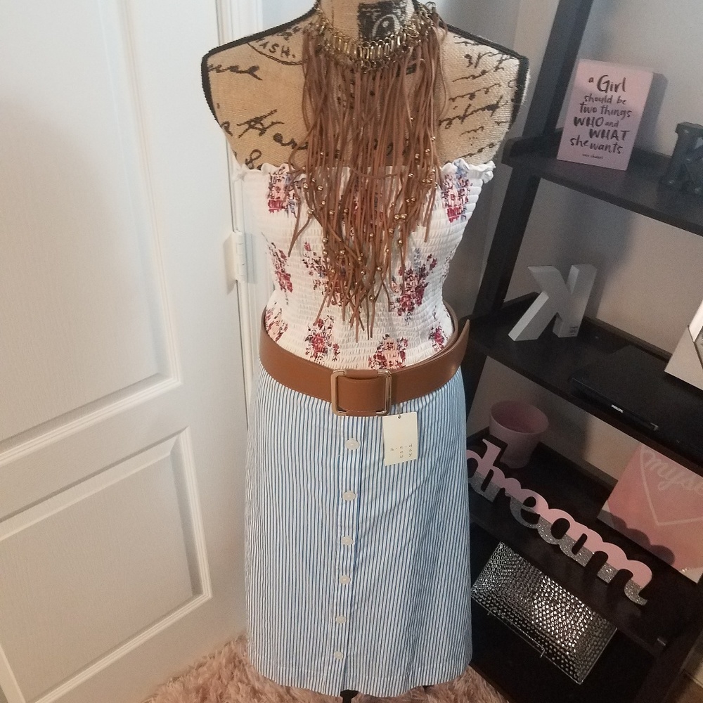Striped A-line Skirt
